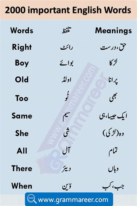 in which meaning in urdu|Why Meaning In Urdu .
